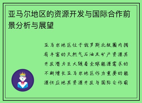 亚马尔地区的资源开发与国际合作前景分析与展望